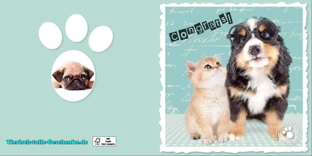 Myrna Grußkarte: Berner Sennenhund 2-Tierisch tolle Geschenke