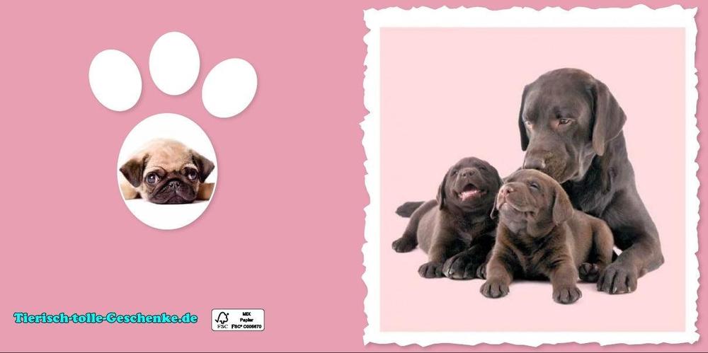 Myrna Grußkarte: Labrador 3-Tierisch tolle Geschenke