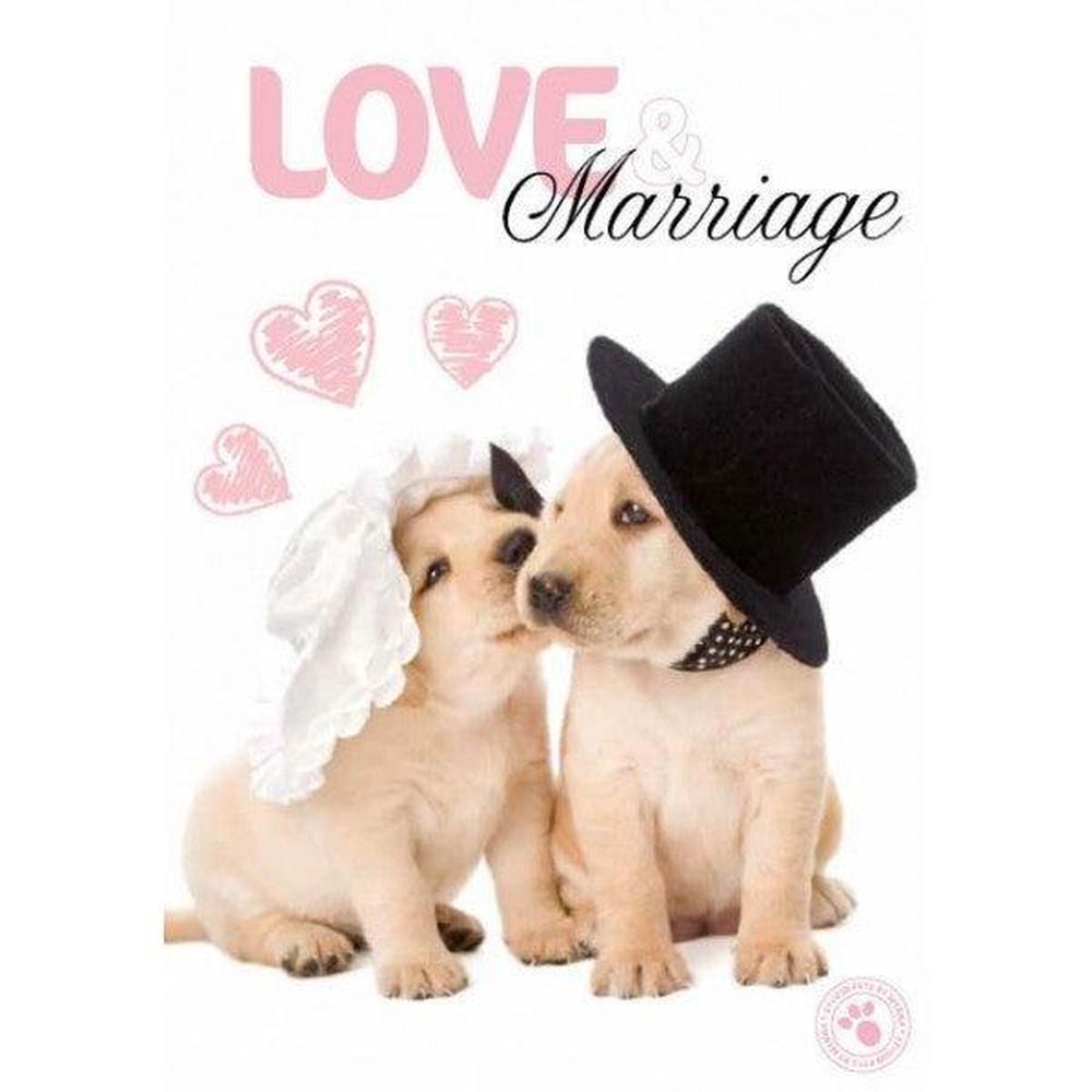 Myrna Briefkarte: Labrador 2-Tierisch tolle Geschenke