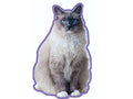 Duftbaum-Wunderbaum Katze: Ragdoll-Tierisch tolle Geschenke