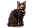 Duftbaum-Wunderbaum Katze: Schildpatt Hauskatze-Tierisch tolle Geschenke