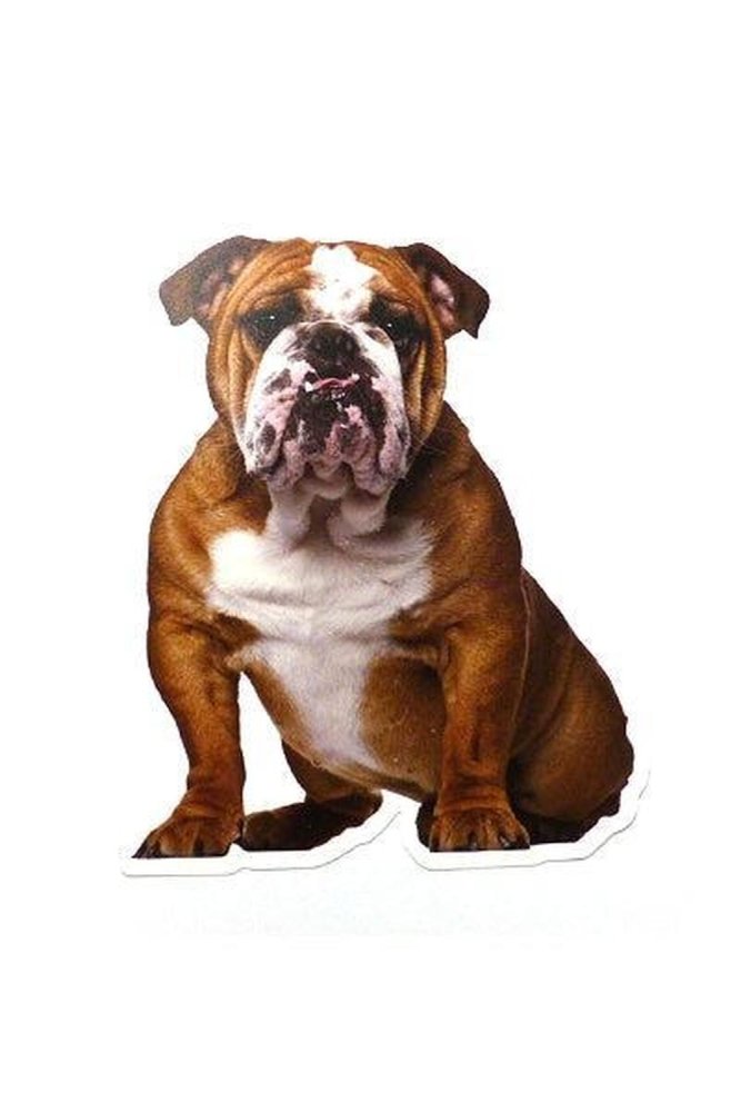 Hunderassen-Auto-Aufkleber: Bulldogge (Engl.) 1-Tierisch tolle Geschenke