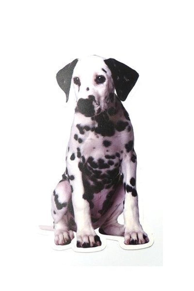 Hunderassen-Auto-Aufkleber: Dalmatiner-Tierisch tolle Geschenke