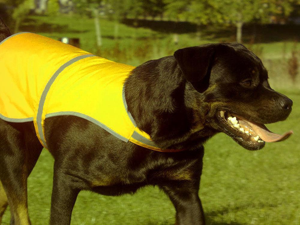 Hunde Warnweste Sicherheitsweste Mantrailing 4-Tierisch-tolle-Geschenke-Tierisch-tolle-Geschenke