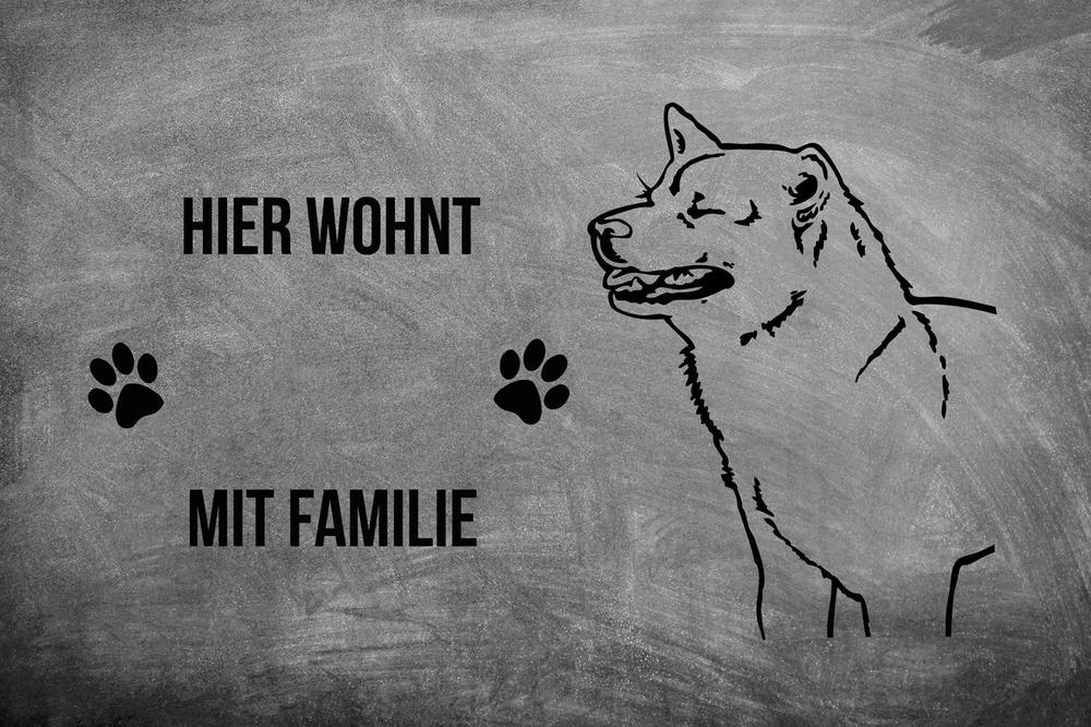 Shiba Inu 2 - Fußmatte - Schmutzfangmatte - 40 x 60 cm-Tierisch-tolle Geschenke-Tierisch-tolle-Geschenke