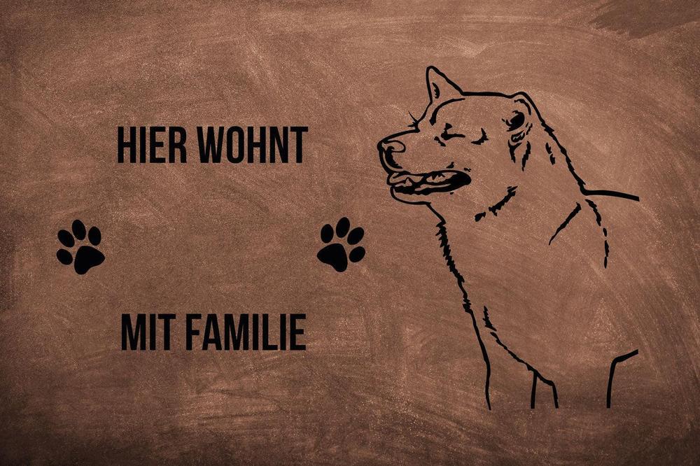 Shiba Inu 2 - Fußmatte - Schmutzfangmatte - 40 x 60 cm-Tierisch-tolle Geschenke-Tierisch-tolle-Geschenke