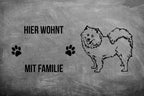 Samojede 1 - Fußmatte - Schmutzfangmatte - 40 x 60 cm-Tierisch-tolle Geschenke-Tierisch-tolle-Geschenke