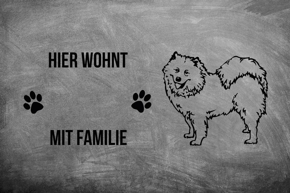 Samojede 1 - Fußmatte - Schmutzfangmatte - 40 x 60 cm-Tierisch-tolle Geschenke-Tierisch-tolle-Geschenke