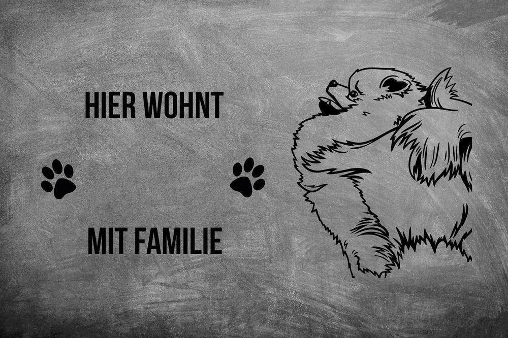Pomeraner - Fußmatte - Schmutzfangmatte - 40 x 60 cm-Tierisch-tolle Geschenke-Tierisch-tolle-Geschenke