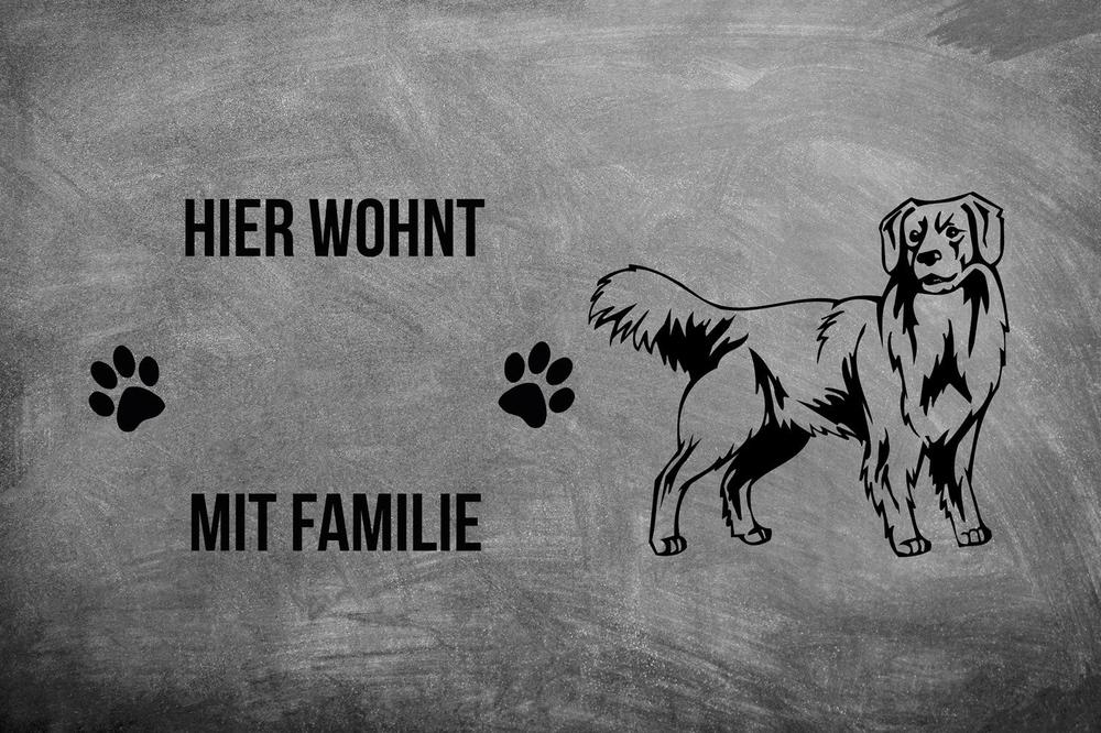 Nova Scotia Duck Tolling Retriever - Fußmatte - Schmutzfangmatte - 40 x 60 cm-Tierisch-tolle Geschenke-Tierisch-tolle-Geschenke