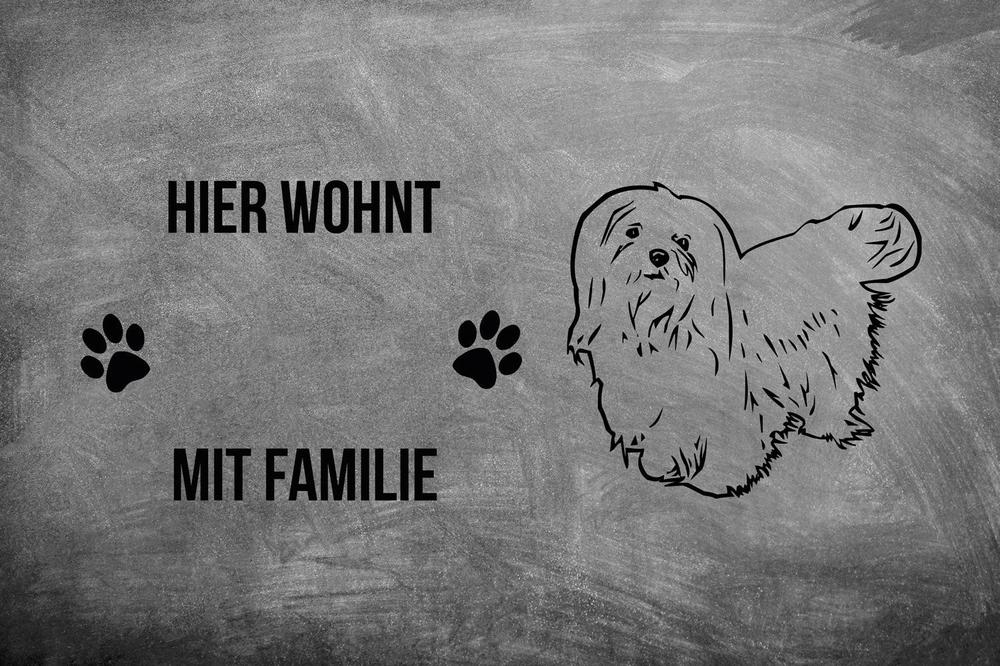 Malteser 1 - Fußmatte - Schmutzfangmatte - 40 x 60 cm-Tierisch-tolle Geschenke-Tierisch-tolle-Geschenke