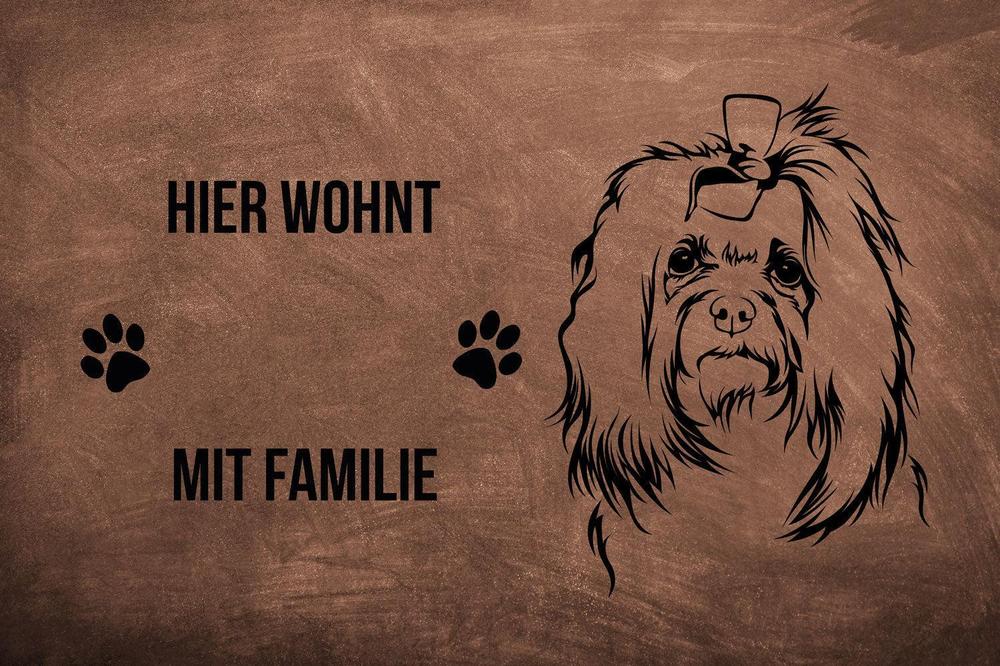 Malteser 2 - Fußmatte - Schmutzfangmatte - 40 x 60 cm-Tierisch-tolle Geschenke-Tierisch-tolle-Geschenke