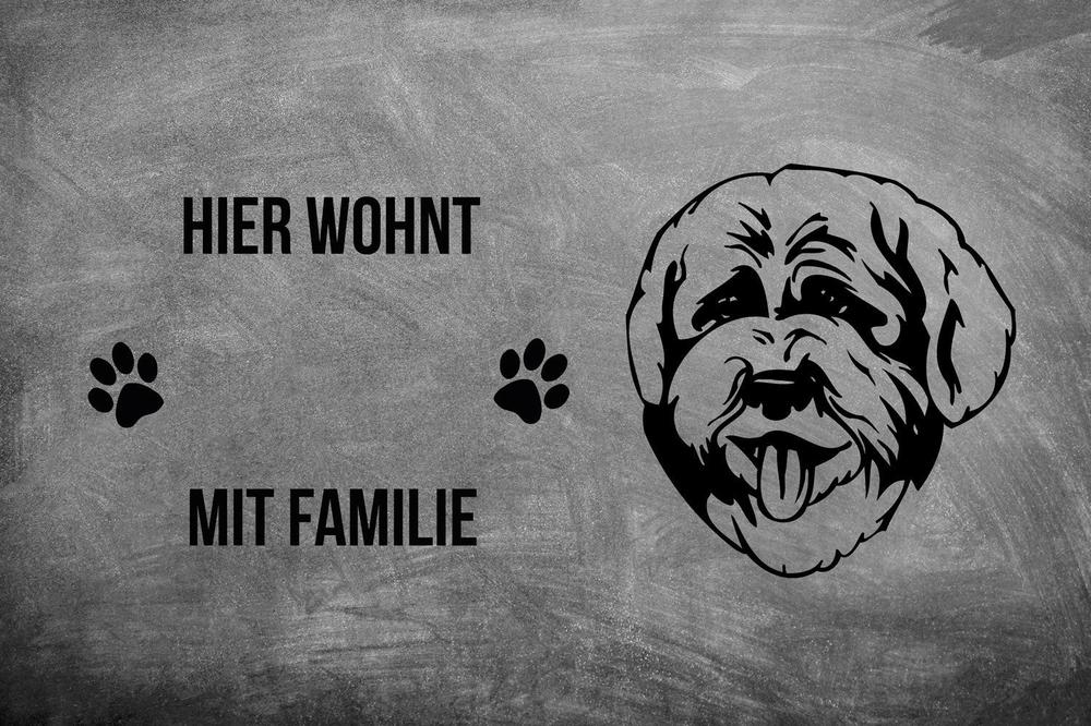 Lagotto Romagnolo - Fußmatte - Schmutzfangmatte - 40 x 60 cm-Tierisch-tolle Geschenke-Tierisch-tolle-Geschenke