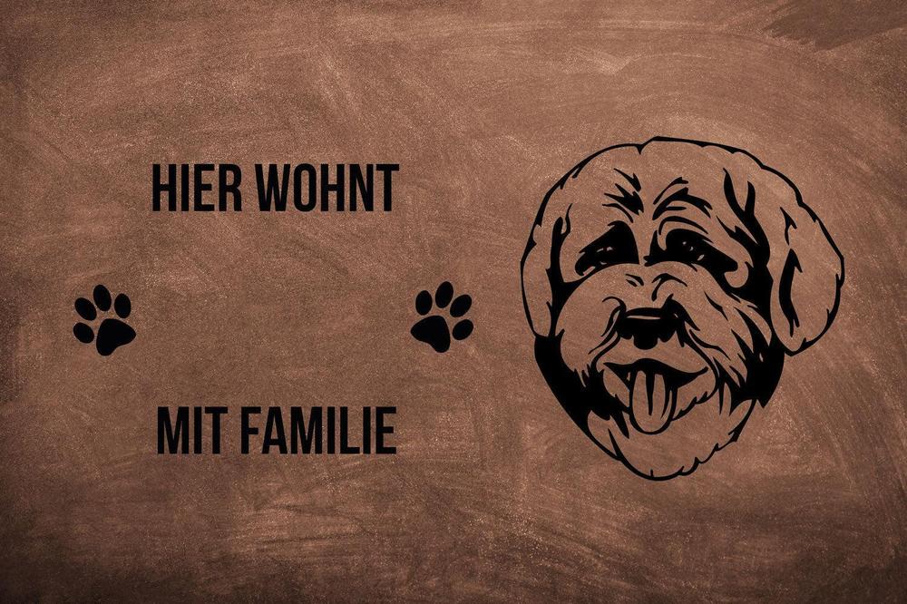 Lagotto Romagnolo - Fußmatte - Schmutzfangmatte - 40 x 60 cm-Tierisch-tolle Geschenke-Tierisch-tolle-Geschenke