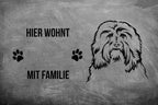 Havaneser 3 - Fußmatte - Schmutzfangmatte - 40 x 60 cm-Tierisch-tolle Geschenke-Tierisch-tolle-Geschenke