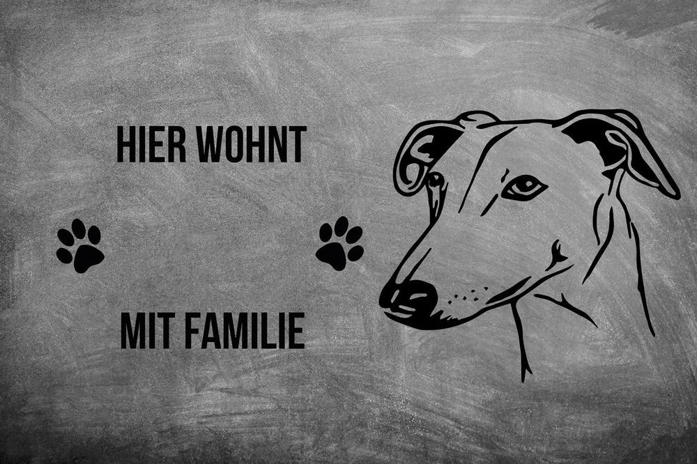Galgo - Fußmatte - Schmutzfangmatte - 40 x 60 cm-Tierisch-tolle Geschenke-Tierisch-tolle-Geschenke