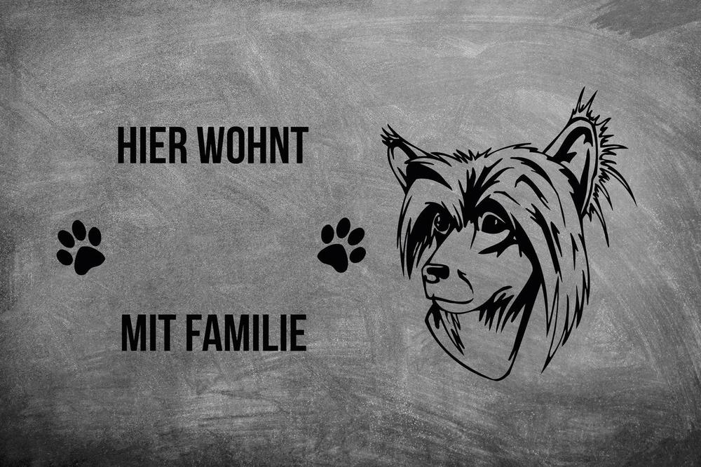 Chinesischer Schopfhund 2 - Fußmatte - Schmutzfangmatte - 40 x 60 cm-Tierisch-tolle Geschenke-Tierisch-tolle-Geschenke