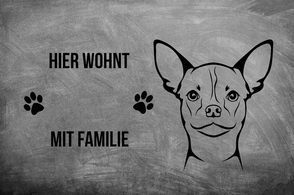 Chihuahua Kurzhaar 2 - Fußmatte - Schmutzfangmatte - 40 x 60 cm-Tierisch-tolle Geschenke-Tierisch-tolle-Geschenke