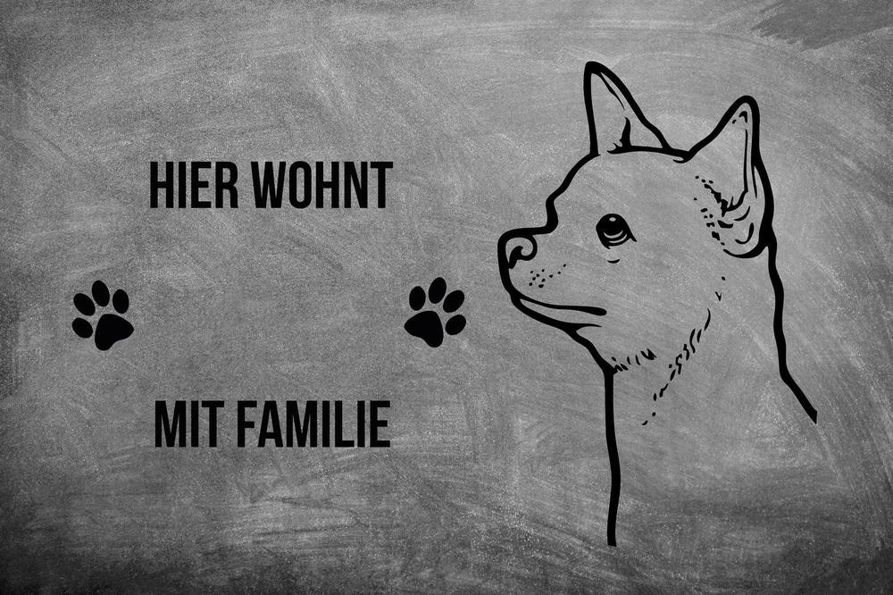 Chihuahua 2 - Fußmatte - Schmutzfangmatte - 40 x 60 cm-Tierisch-tolle Geschenke-Tierisch-tolle-Geschenke