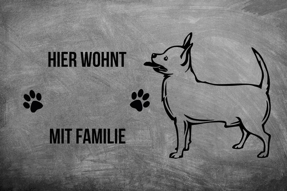 Chihuahua 1 - Fußmatte - Schmutzfangmatte - 40 x 60 cm-Tierisch-tolle Geschenke-Tierisch-tolle-Geschenke