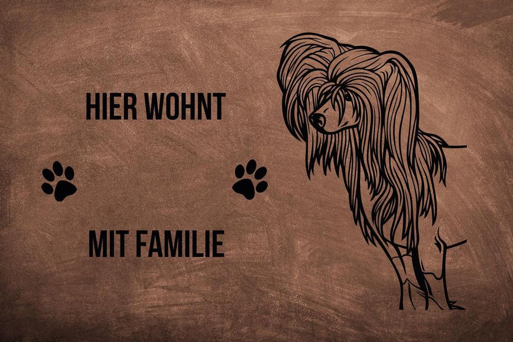 Chinesischer Schopfhund - Fußmatte - Schmutzfangmatte - 40 x 60 cm-Tierisch-tolle Geschenke-Tierisch-tolle-Geschenke