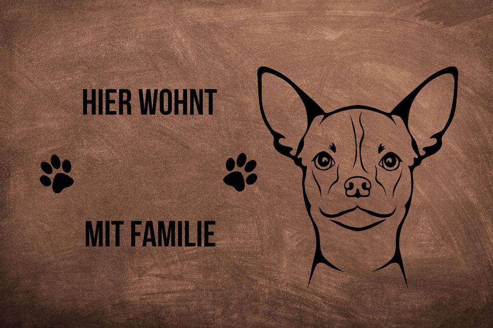 Chihuahua Kurzhaar 2 - Fußmatte - Schmutzfangmatte - 40 x 60 cm-Tierisch-tolle Geschenke-Tierisch-tolle-Geschenke