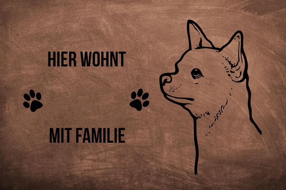 Chihuahua 2 - Fußmatte - Schmutzfangmatte - 40 x 60 cm-Tierisch-tolle Geschenke-Tierisch-tolle-Geschenke