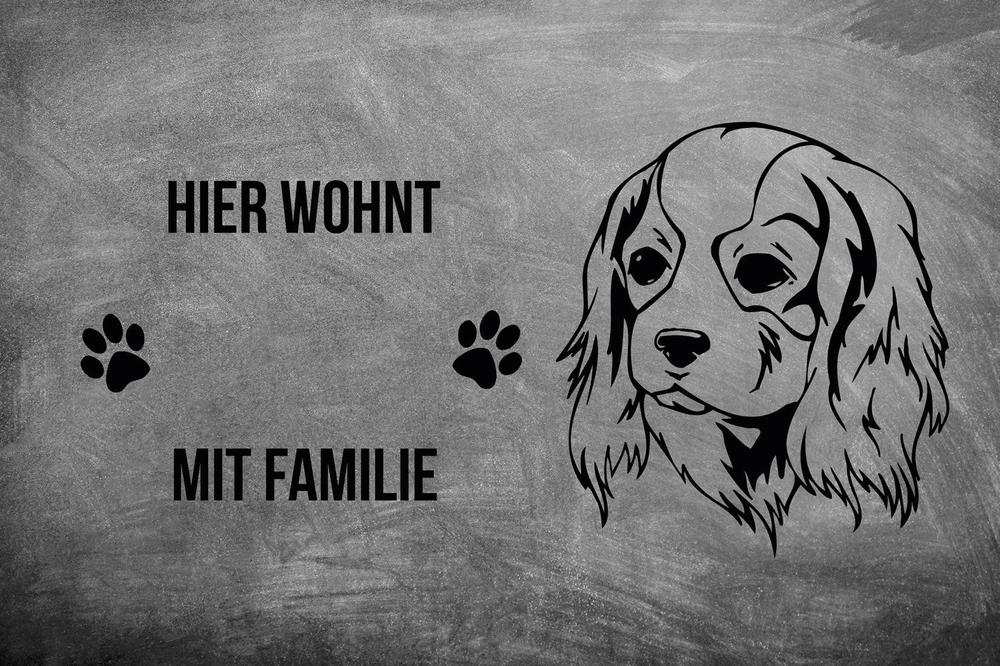 Cavalier King Charles Spaniel 2 - Fußmatte - Schmutzfangmatte - 40 x 60 cm-Tierisch-tolle Geschenke-Tierisch-tolle-Geschenke