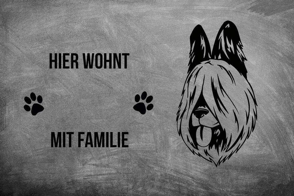 Briard - Fußmatte - Schmutzfangmatte - 40 x 60 cm-Tierisch-tolle Geschenke-Tierisch-tolle-Geschenke