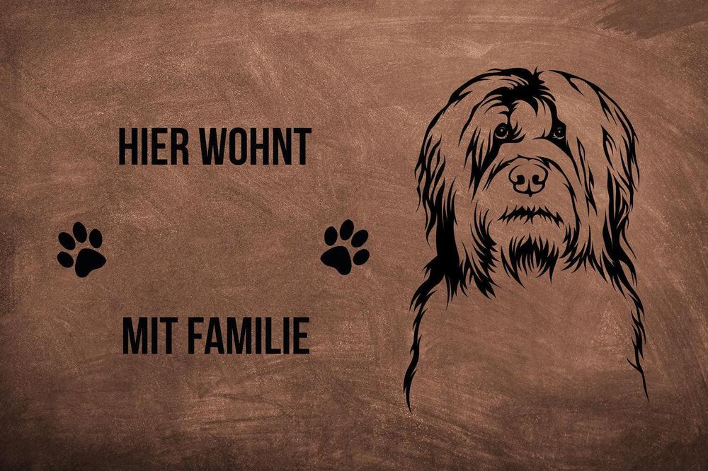 Briard 2 - Fußmatte - Schmutzfangmatte - 40 x 60 cm-Tierisch-tolle Geschenke-Tierisch-tolle-Geschenke