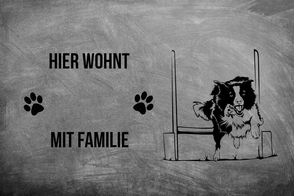 Border Collie Final - Fußmatte - Schmutzfangmatte - 40 x 60 cm-Tierisch-tolle Geschenke-Tierisch-tolle-Geschenke