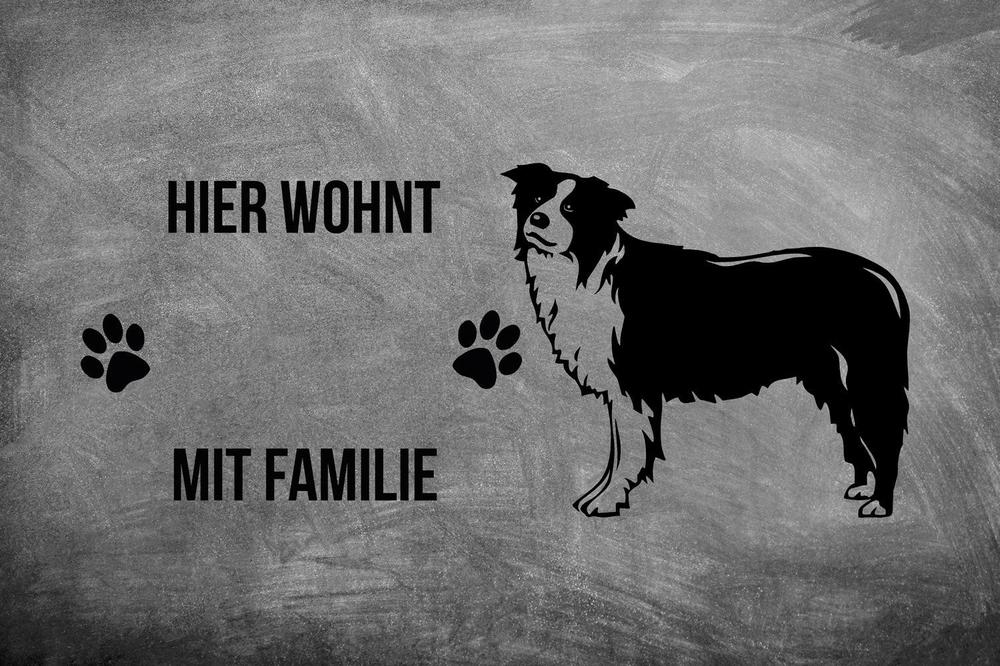 Border Collie 1 - Fußmatte - Schmutzfangmatte - 40 x 60 cm-Tierisch-tolle Geschenke-Tierisch-tolle-Geschenke