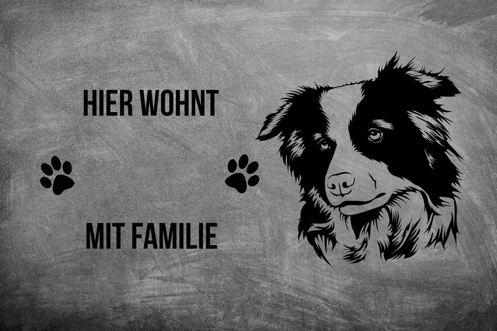 Border Collie - Fußmatte - Schmutzfangmatte - 40 x 60 cm-Tierisch-tolle Geschenke-Tierisch-tolle-Geschenke