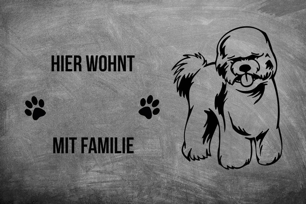 Bichon Frisé 2 - Fußmatte - Schmutzfangmatte - 40 x 60 cm-Tierisch-tolle Geschenke-Tierisch-tolle-Geschenke