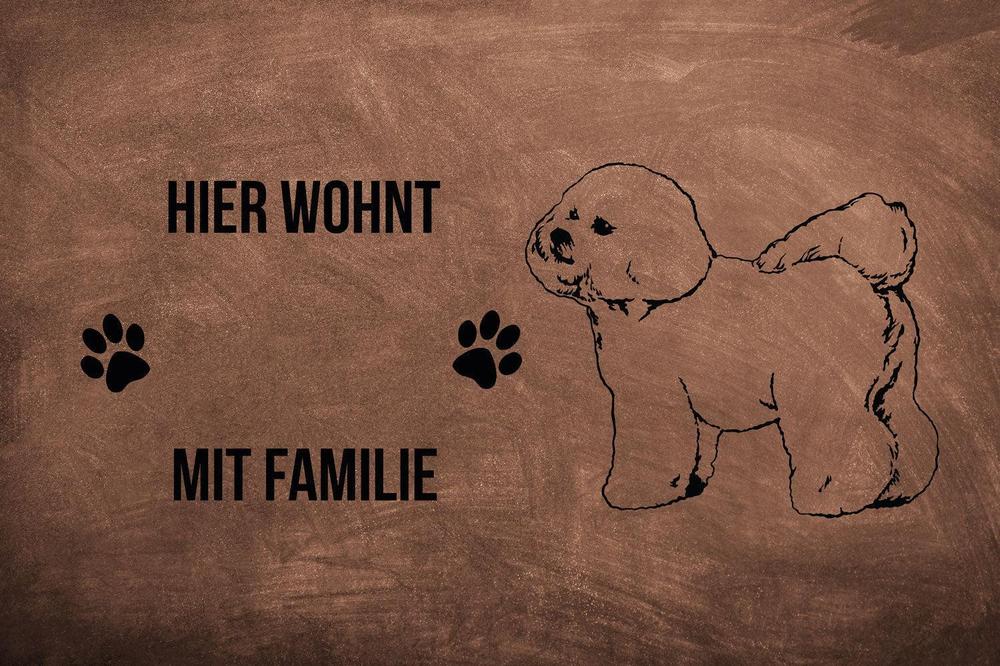 Bichon Frisé - Fußmatte - Schmutzfangmatte - 40 x 60 cm-Tierisch-tolle Geschenke-Tierisch-tolle-Geschenke