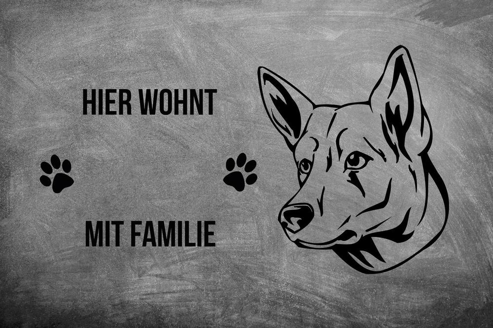 Berger Blanc Suisse Weißer Schäferhund - Fußmatte - Schmutzfangmatte - 40 x 60 cm-Tierisch-tolle Geschenke-Tierisch-tolle-Geschenke