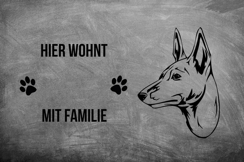 Basenji - Fußmatte - Schmutzfangmatte - 40 x 60 cm-Tierisch-tolle Geschenke-Tierisch-tolle-Geschenke