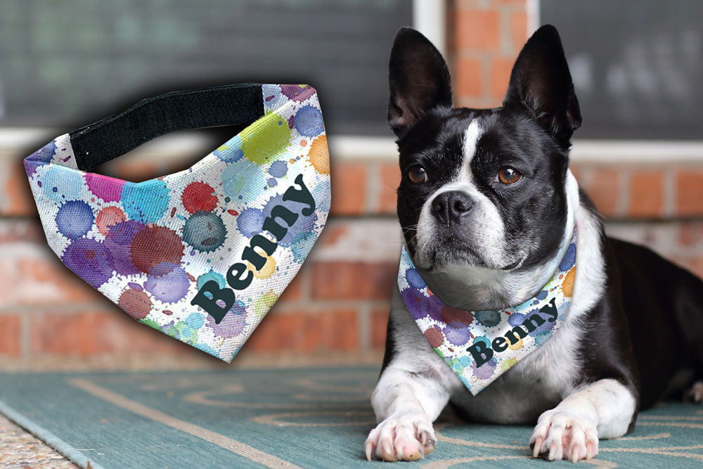 Hunde-Halstuch Wunschname Rainbow-Tierisch tolle Geschenke-Tierisch-tolle-Geschenke