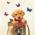 Papier-Servietten - Hund - Buddy 20 Stck 33 x 33 cm-Tierisch tolle Geschenke