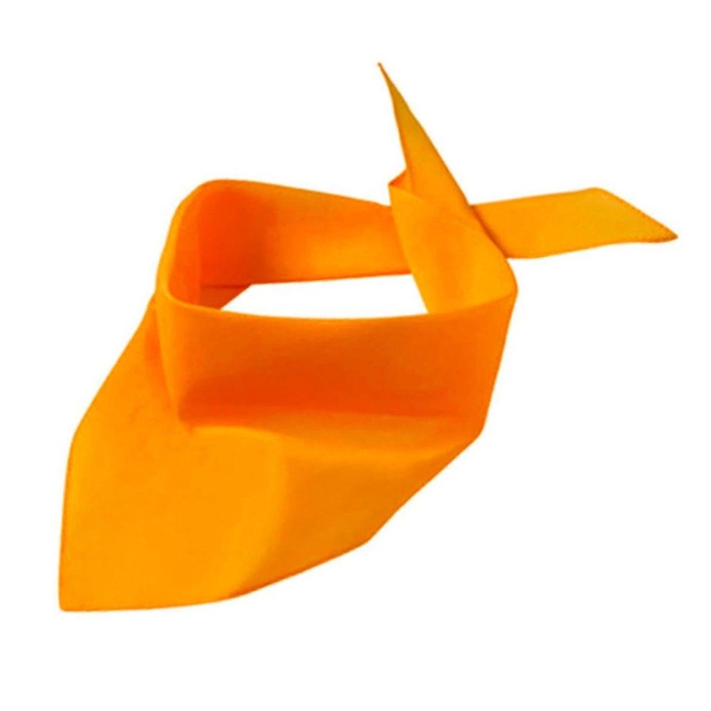 Hundehalstuch orange