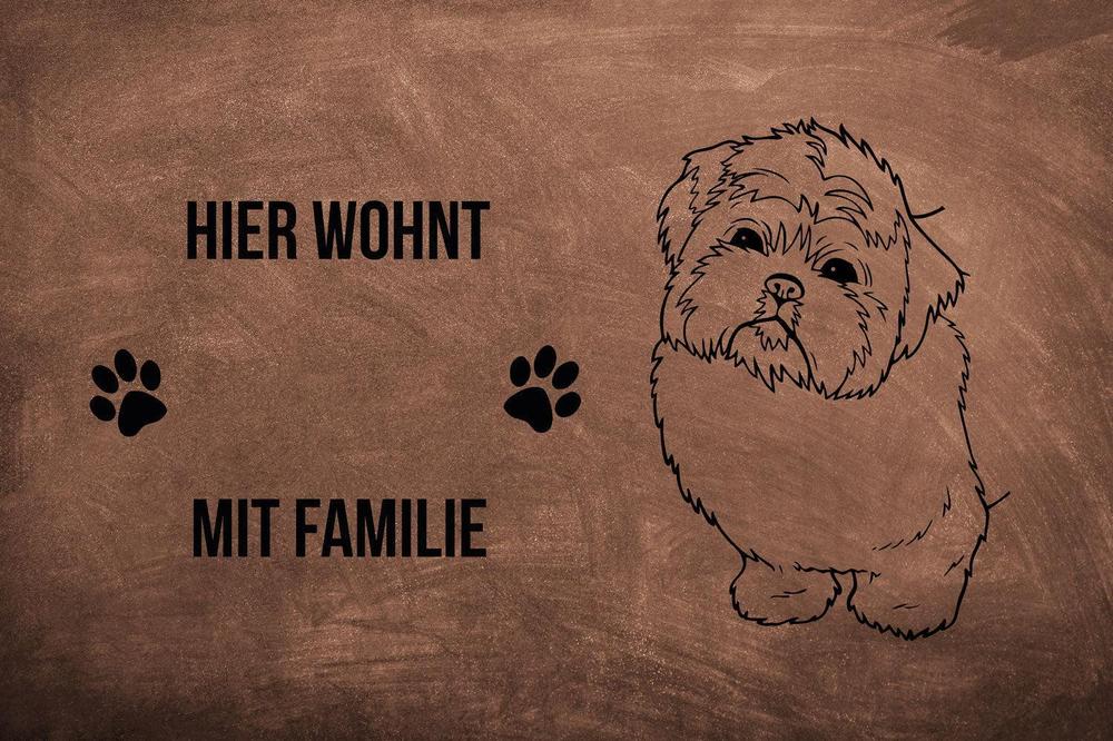 Shih Tzu 2 - Fußmatte - Schmutzfangmatte - 40 x 60 cm-Tierisch-tolle Geschenke-Tierisch-tolle-Geschenke