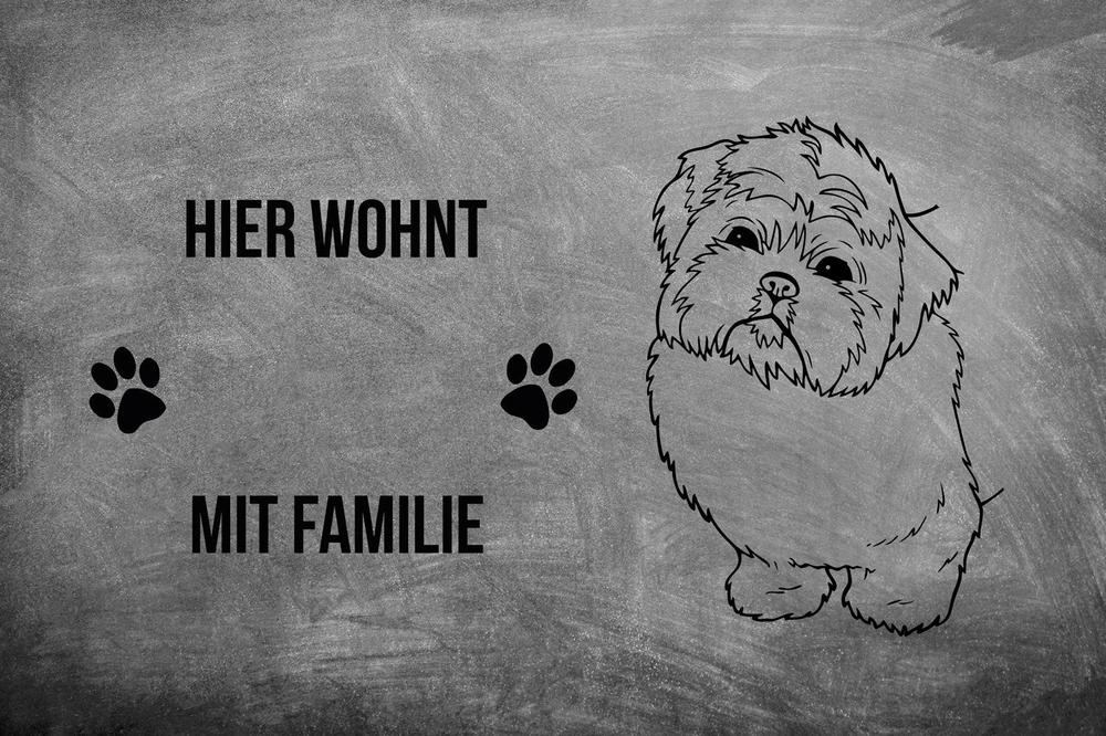 Shih Tzu 2 - Fußmatte - Schmutzfangmatte - 40 x 60 cm-Tierisch-tolle Geschenke-Tierisch-tolle-Geschenke
