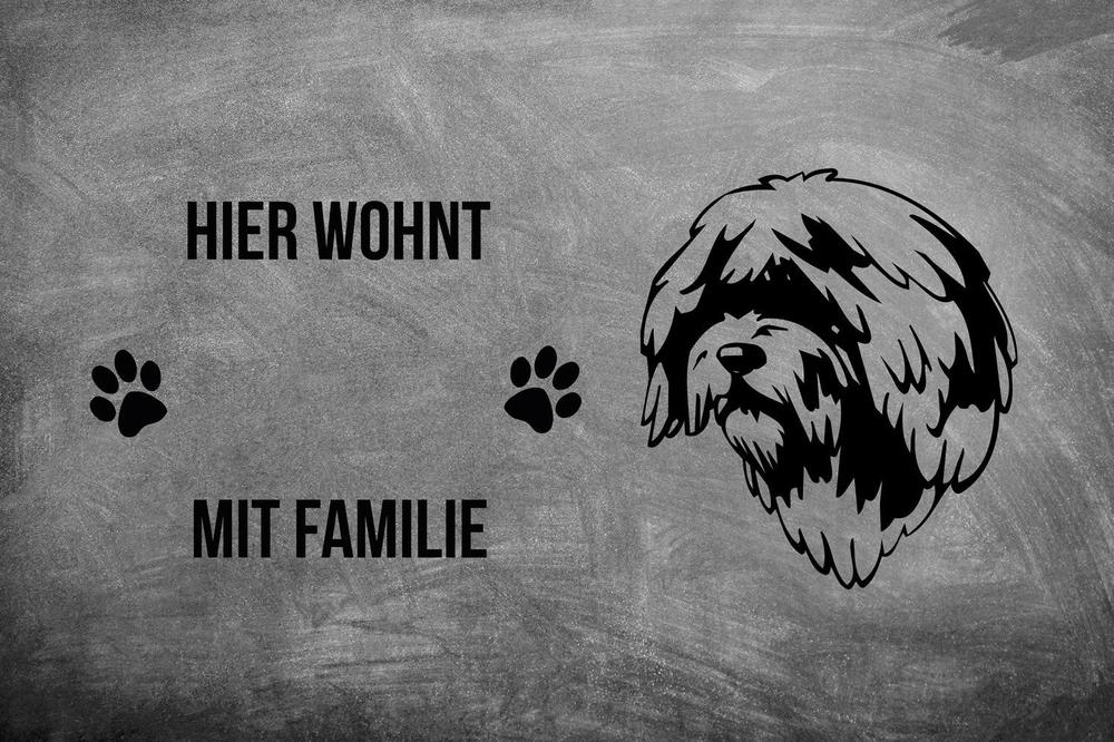 Spanischer Wasserhund Perro de Agua Español - Fußmatte - Schmutzfangmatte - 40 x 60 cm-Tierisch-tolle Geschenke-Tierisch-tolle-Geschenke