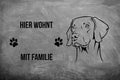 Weimaraner 4 - Fußmatte - Schmutzfangmatte - 40 x 60 cm-Tierisch-tolle Geschenke-Tierisch-tolle-Geschenke